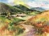 Noble Meadow