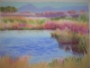 Marshland