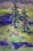 Pine Pair