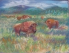 Genesee Buffalo